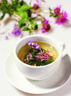 Herbally Fresh - Herb Articles