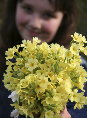 Mother's Day - Herb Articles